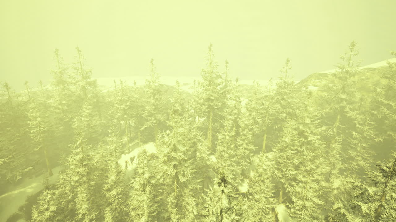 Winter landscape covered in misty yellow fog over evergreen trees