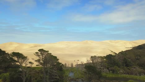 Aerial-dolly-up-over-trees-revealing-the-Giant-Sand-Dunes-in-New-Zealand