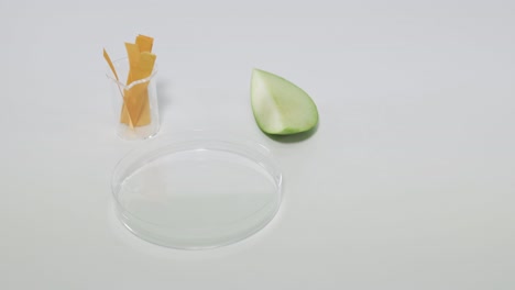 experiment using litmus paper on apple juice