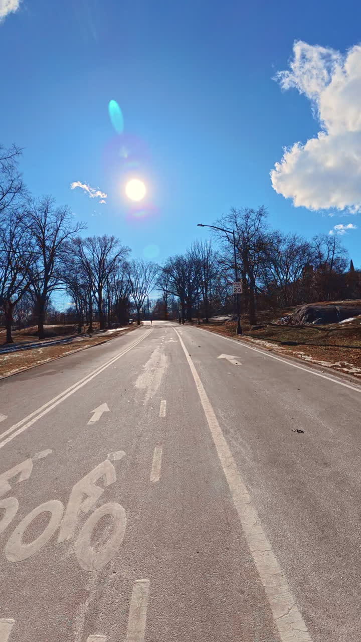 Winter stroll in Central Park. People enjoy a sunny winter day in Central Park, walking along wide paths under a bright blue sky