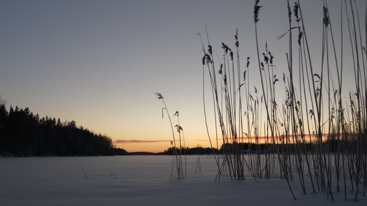 해가 지고 난 겨울 갈대, 틸트 업 엔딩 장면