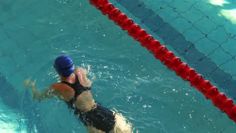 mujer en forma nadando en la piscina