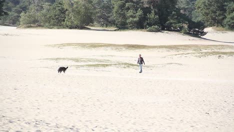 un perro y un dueño caminando en las dunas de arena