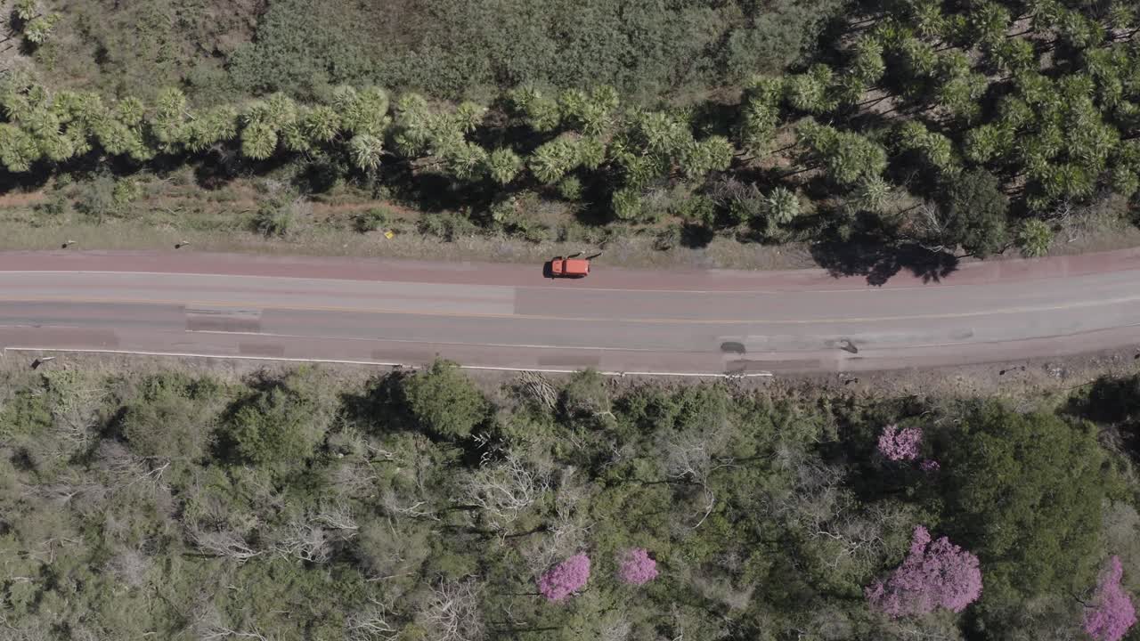 ype rosa en pantanal, imagen desde arriba -dron que muestra la carretera y el auto naranja
