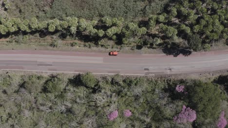 Ype-Rosa-En-Pantanal,-Imagen-Desde-Arriba--dron-Que-Muestra-La-Carretera-Y-El-Auto-Naranja