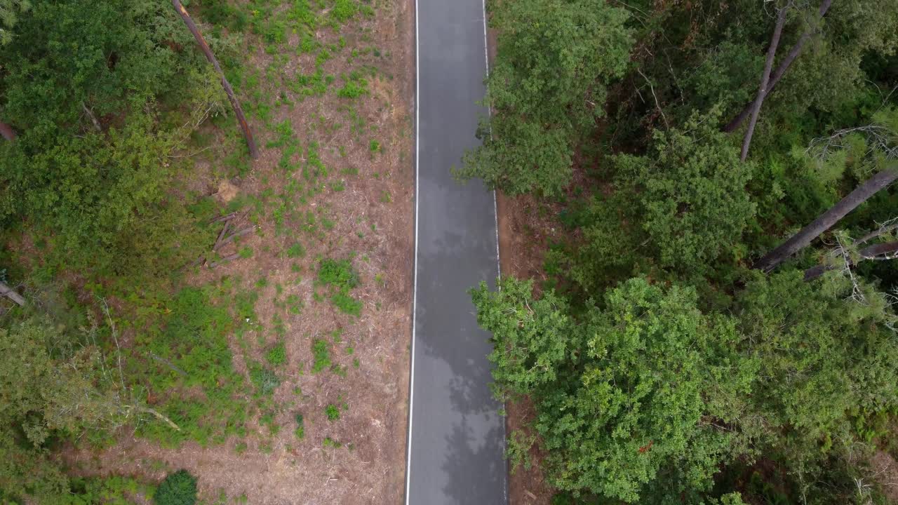 4K drone vertical overhead shot (top-down) of a narrow, secluded road running through the middle of a dense, contrasting forest and wild vegetation in Galicia, Spain
