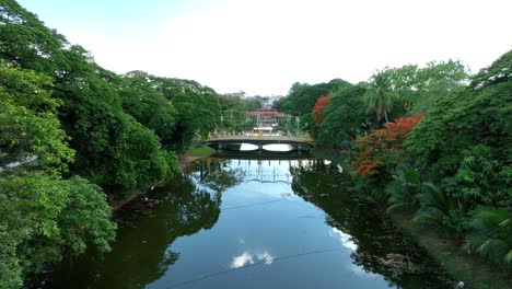 a serene shot of siem reap river with lush greenery surrounding a peaceful bridge