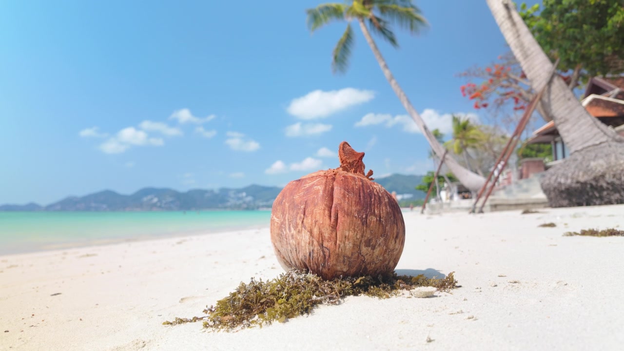 Scena di spiaggia tropicale con un guscio di cocco sulla spiaggia di Chaweng, Koh Samui, Thailandia