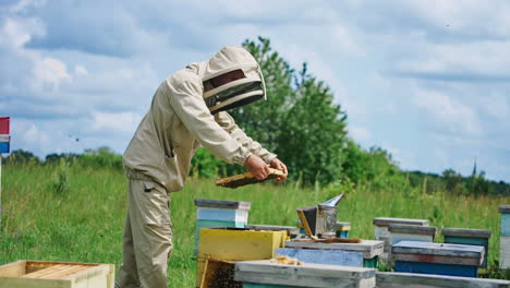 apiculturist on bee farm. beekeeper in protective suit takes out honeycomb with bees in apiary
