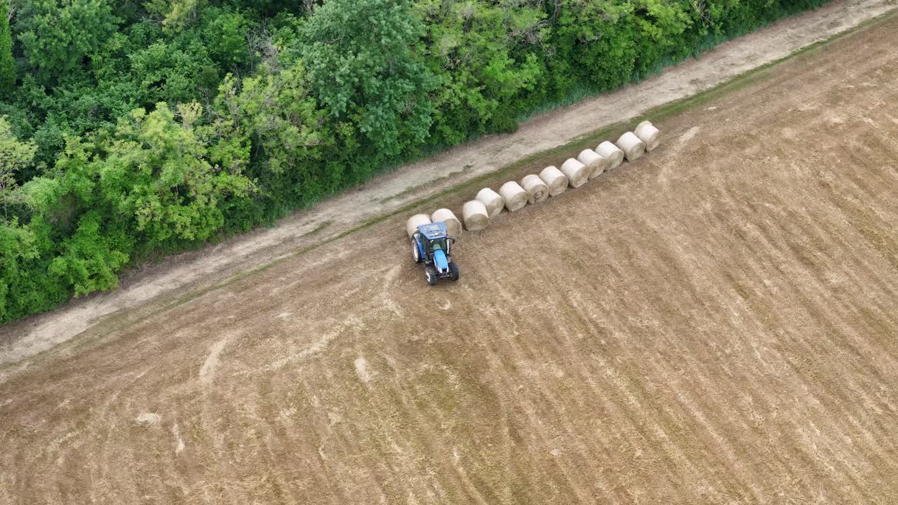 Blue tractor arranges round hay bales in neat lines at the edge of a harvested field near a forest strip in Pallastrelli, Emilia-Romagna, springtime, captured in drone orbit slow motion