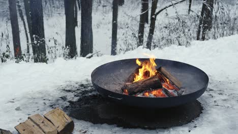 Firewood-burning-in-fire-bowl-in-winter-forest-on-cold-day