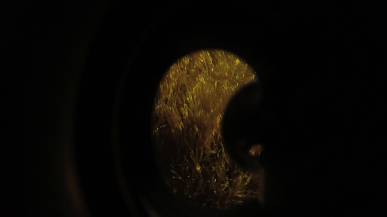 basura de aluminio tirada descuidadamente al océano contaminando el medio ambiente - vista desde el interior de la lata