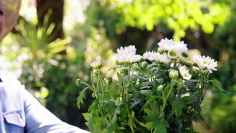 Senior-couple-spraying-water-on-flowers