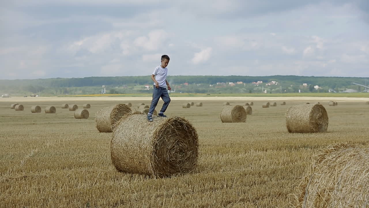 Happy Child In Field. Adorable kid boy spending time in a field with straw