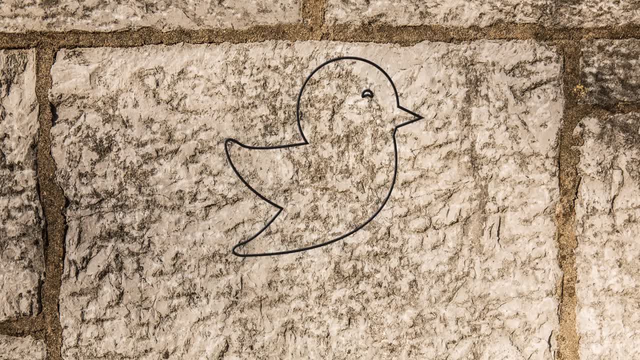 animación del icono de pájaro de neón brillante en la pared de ladrillo