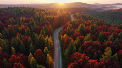autumn sunrise in a mountain forest