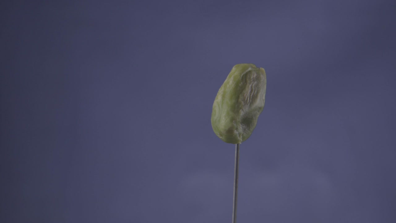 pistacho girando con bucle en la pantalla azul para la llave de croma