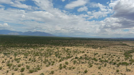 toma aérea del desierto sonorense en arizona, toma de drones en movimiento lento