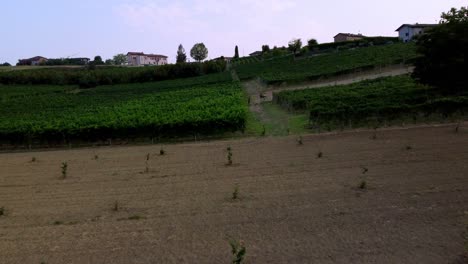 Volando-Rápido-Sobre-Los-Viñedos-Orgánicos-De-Castagnole-Delle-Lanze-En-Piamonte,-Italia