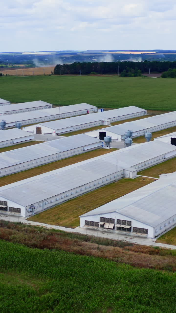 Modern warehouses on green nature background. Contemporary white farmhouses on field. Large agriculture with long buildings. Aerial view. Vertical video