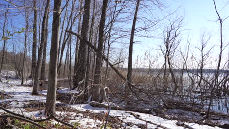 Pan-shot-in-Yamaska-National-Park