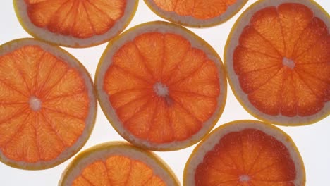 collection of fresh grapefruit slices on white background. rotation citrus fruit. top view.