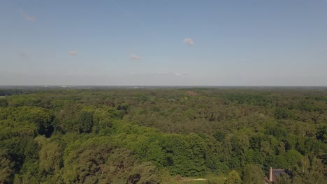 drone-flight-over-the-forest-with-blue-sky