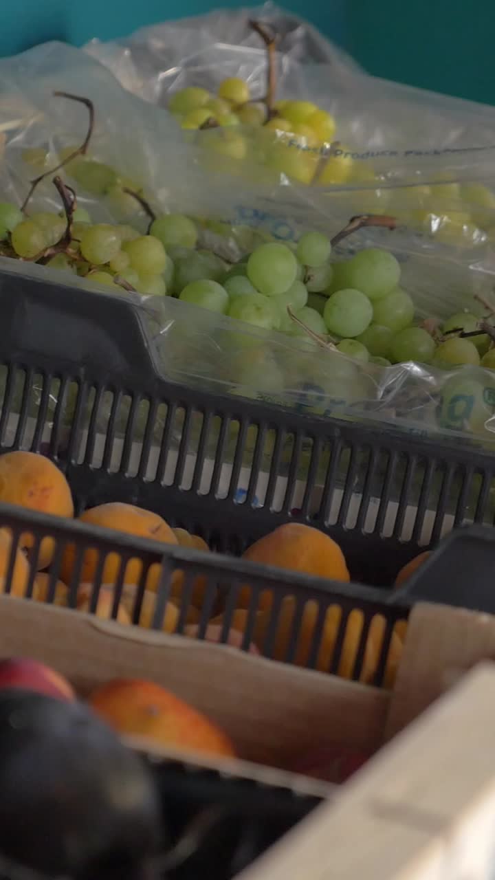 Fresh grapes and peaches