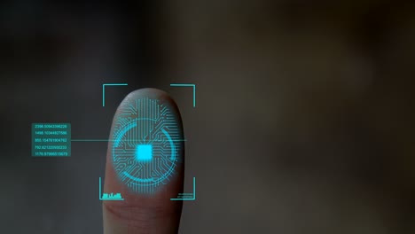 fingerprint scanning futuristic technology , with circuit digital security system.