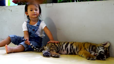 asian cute baby girl enjoying with baby tiger.