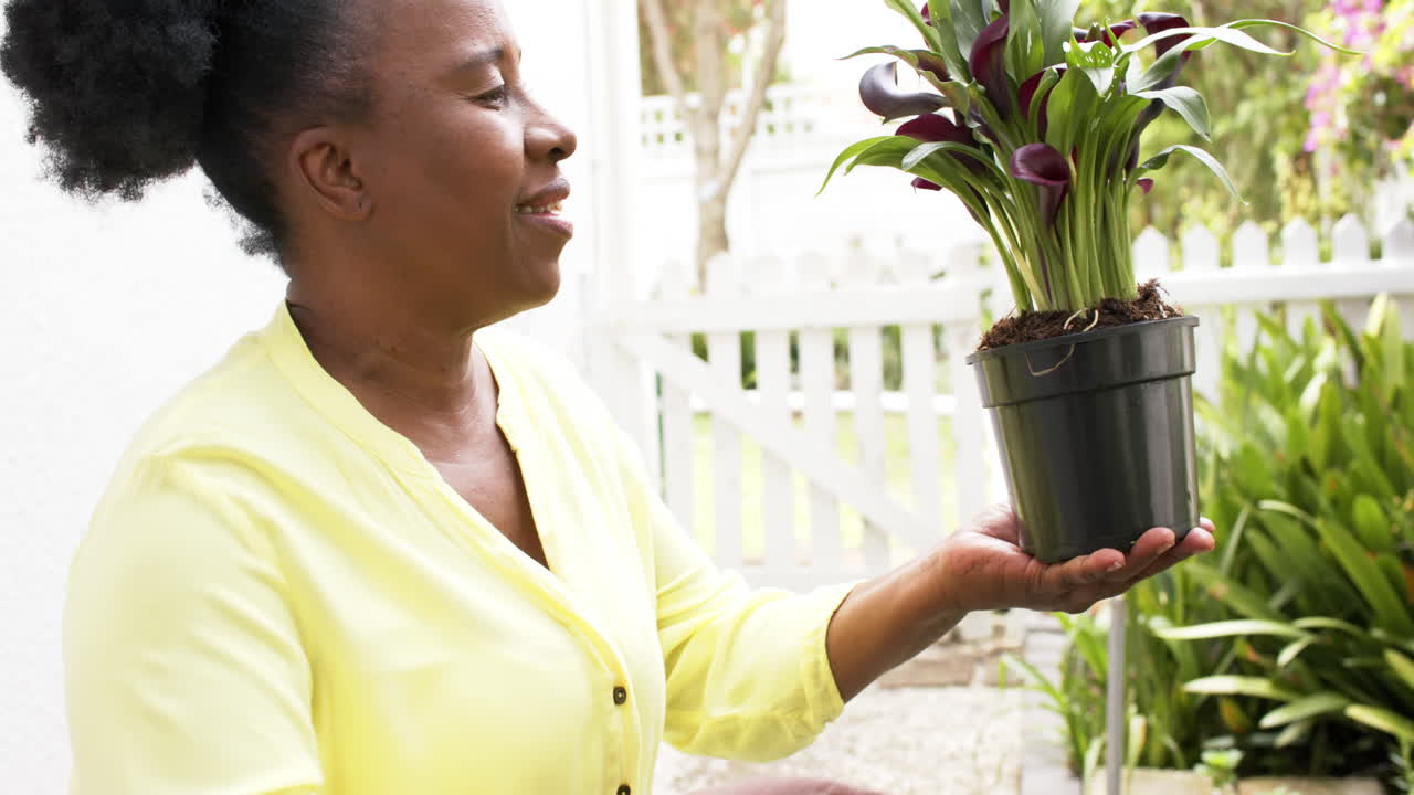 feliz afroamericana anciana cuidando plantas y sonriendo en el jardín soleado, cámara lenta