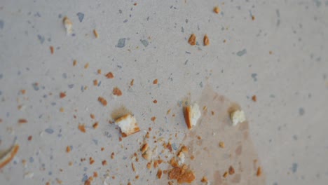 bread crumbs on paper