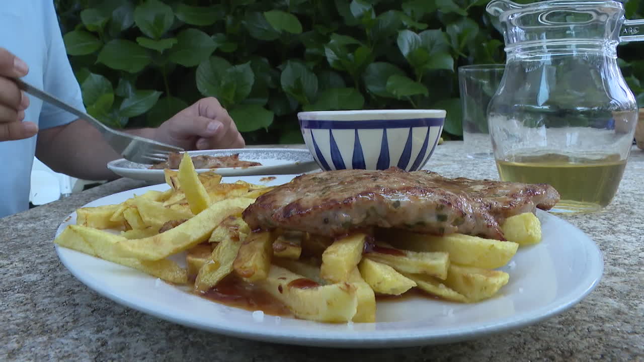 Outdoor Meal with French Fries and Meat
