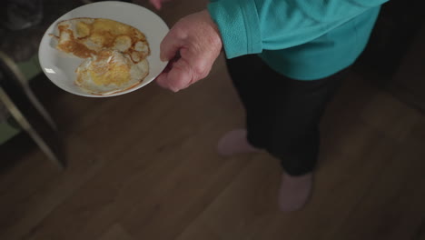 close-up shot of elderly person holding freshly cooked fried eggs on white plate in modern kitchen, preparing homemade breakfast. eggs cooked on stove, healthy home meal concept