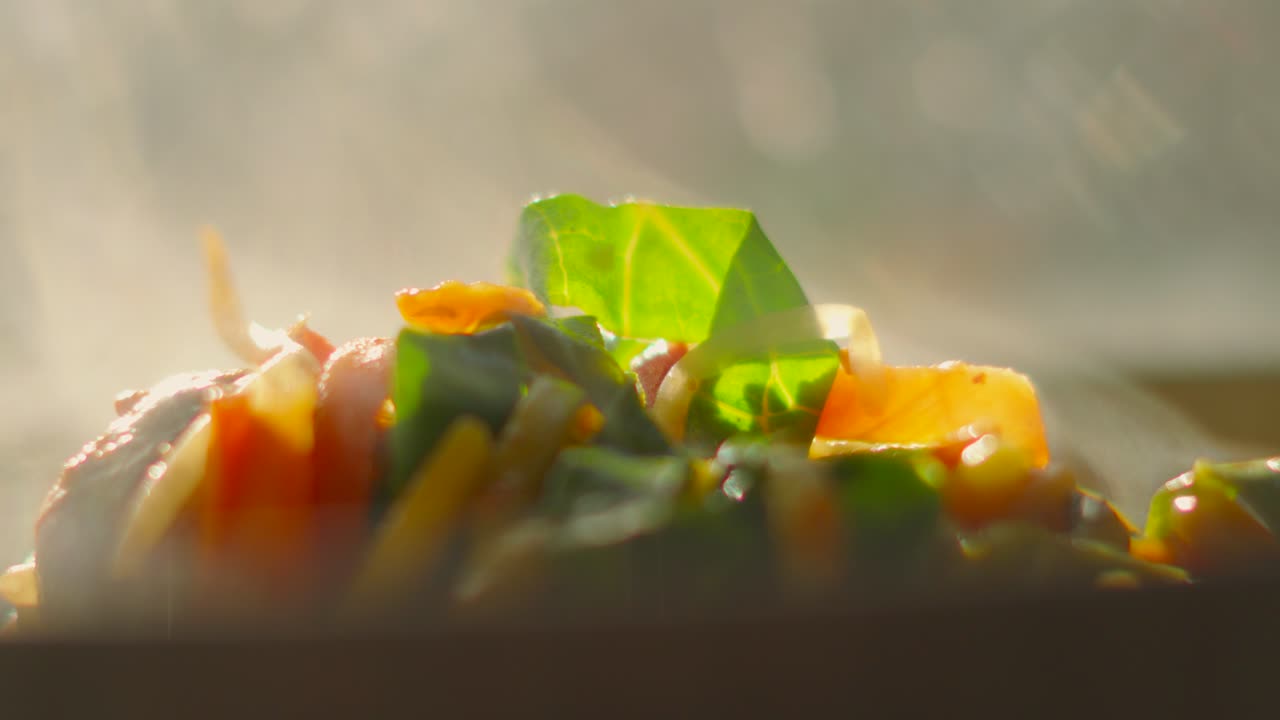 Steaming Hot Chicken Stir-Fry Noodles with Crunchy Vegetables including Carrot, Peppers. Natural Sunlight Backlight Slow Motion Food Footage.