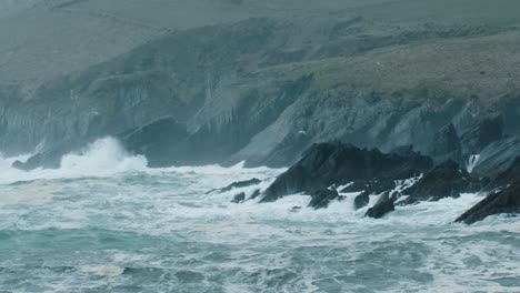 seagulls flying above the irish coast on a windy day