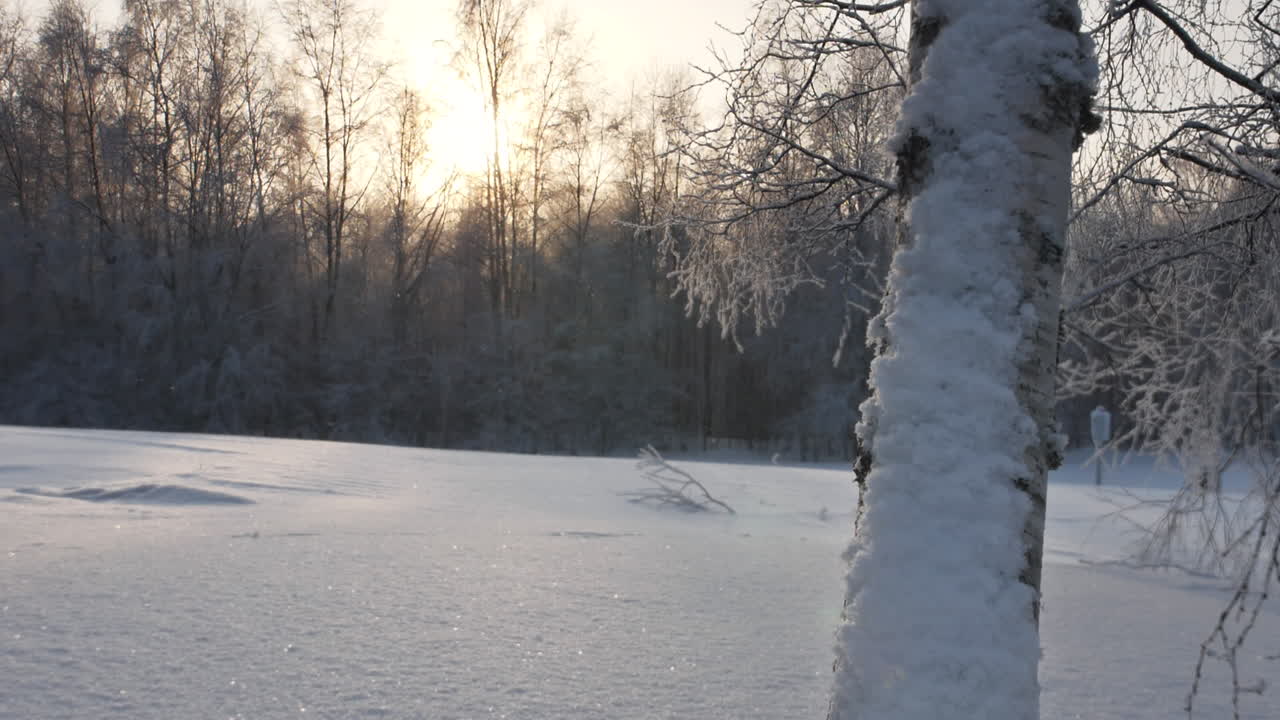 Snøflak som faller på et snødekt jorde