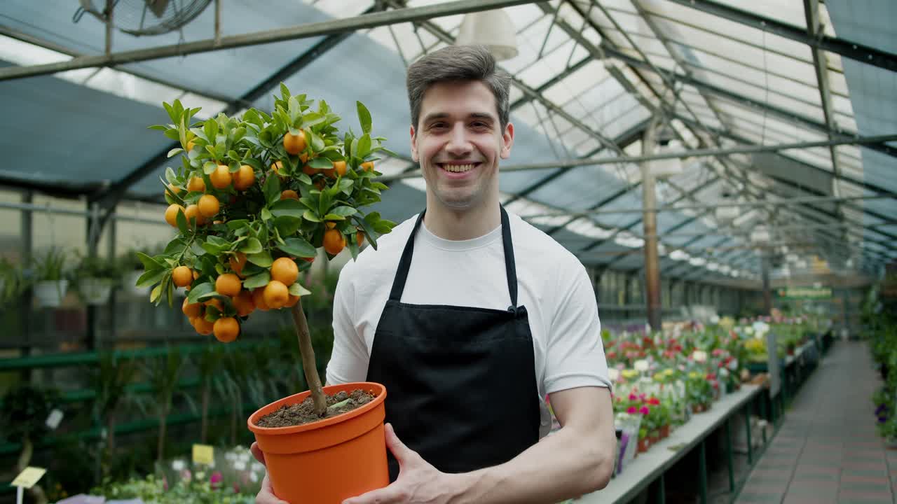 un joven trabajador en una tienda de flores especializada sostiene una olla con un pequeño árbol de naranjas en sus manos. vida verde: consejos de cuidado