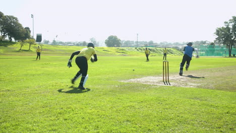 cricket players in yellow jerseys practicing on sunny field, focusing on teamwork