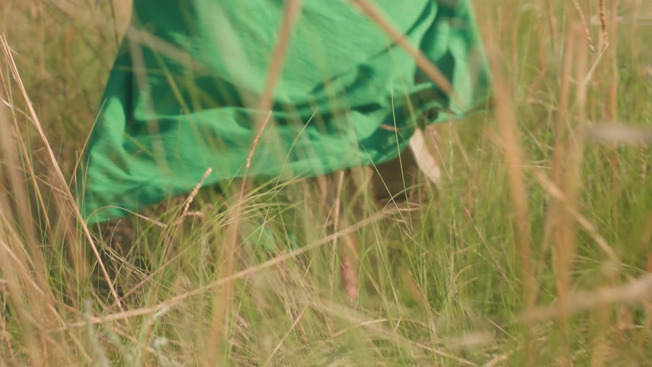 woman in green gown walking through tall wild grass with bare feet brushing against dry and green blades under warm sunlight, camera close to lower legs and fabric swaying