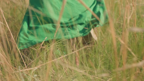 woman in green gown walking through tall wild grass with bare feet brushing against dry and green blades under warm sunlight, camera close to lower legs and fabric swaying