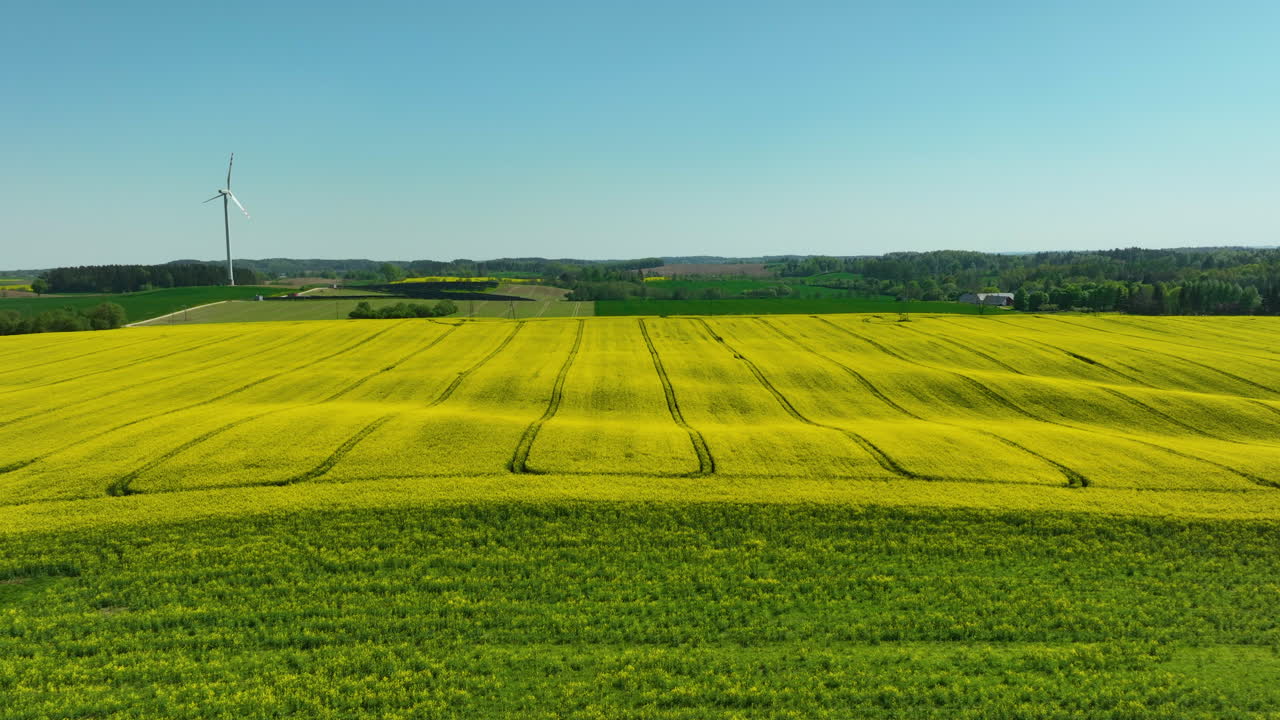 An expansive rapeseed field in full bloom, with a wind turbine in the background