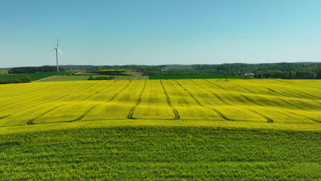an expansive rapeseed field in full bloom, with a wind turbine in the background