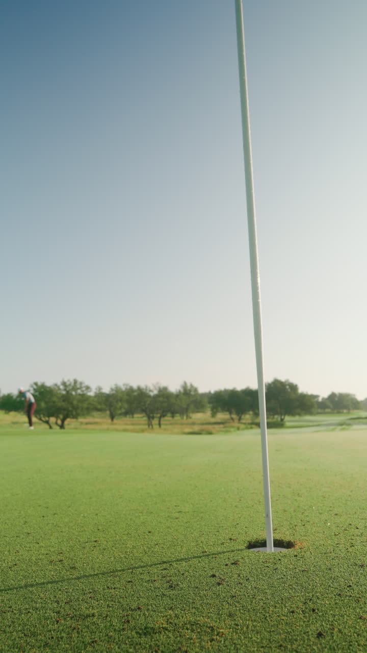 Vertical close-up from green beside flagstick as golfer chips ball onto green and it bounces into the hole. Highlights precision and short game skill