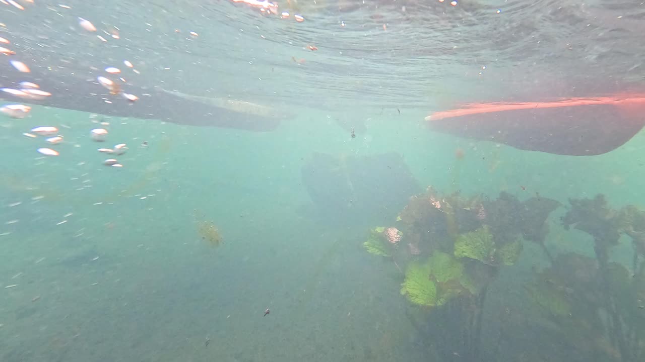 물  에서 카야크 를 타는 것