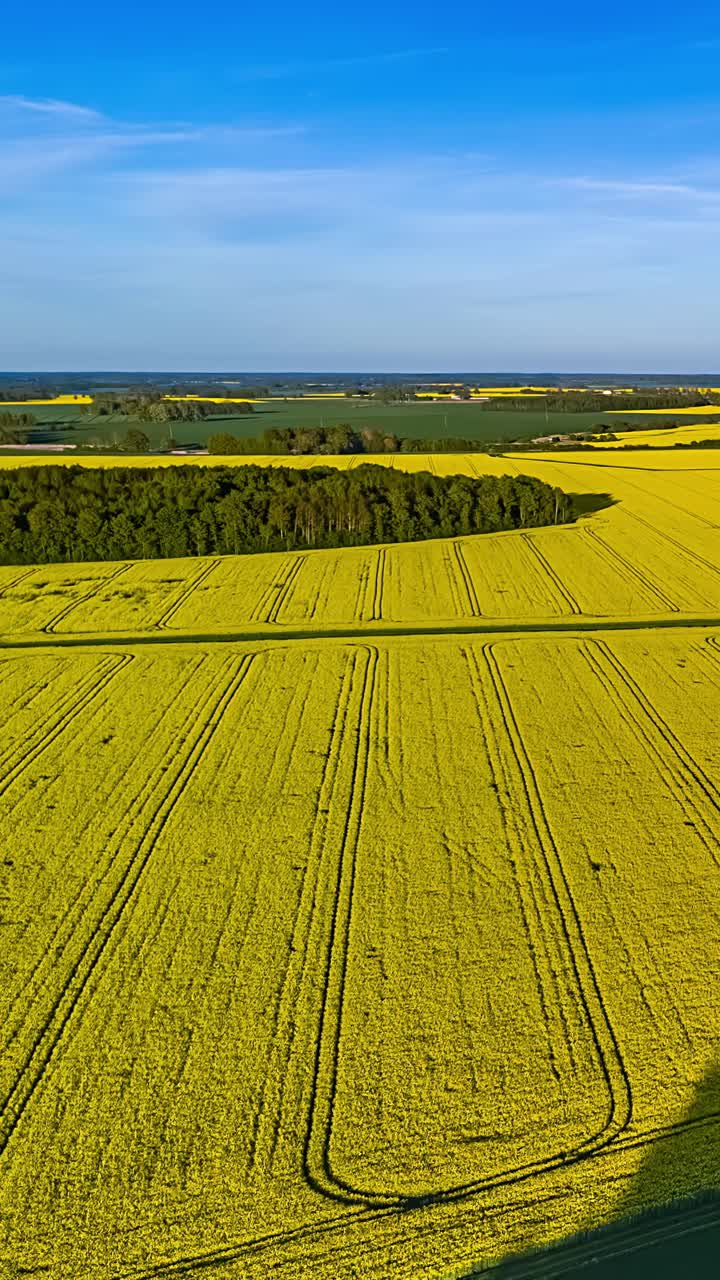 A fast flight over green fields under a blue sky in a vertical time lapse shot