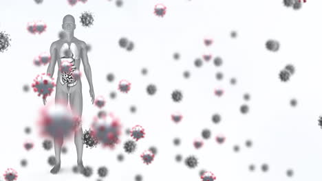 animation of falling viruses cells over human body model