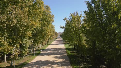 ascending flight with a drone on the camino de los coroneles in aranjuez, we fly near the trees that are the protagonists and the royal palace appears in the background