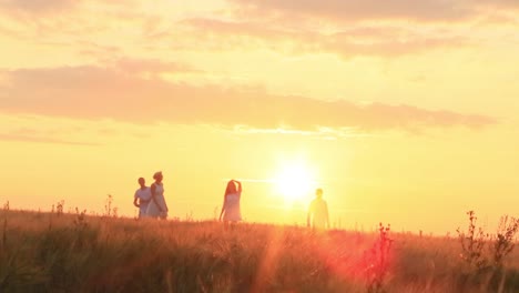 sunset stroll through a wheat field