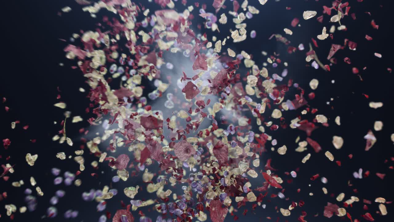 은 코로나 바이러스의 조각에 대한 폭발